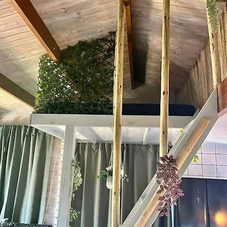 Jungle Style With Jacuzzi ,sauna And Garden Near Amsterdam * Vijfhuizen