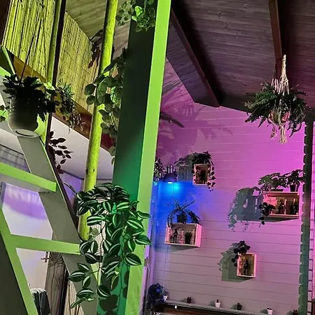 Jungle Style With Jacuzzi ,sauna And Garden Near Amsterdam