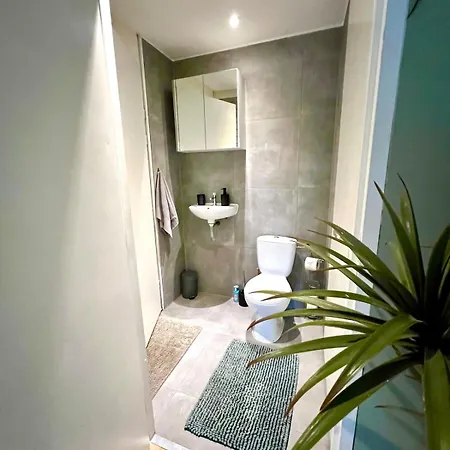 Private Wellnes With Jacuzzi ,sauna&garden Between Amsterdam Haarlem&schiphol Airport Appartement Vijfhuizen