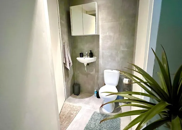 Jungle Style With Jacuzzi ,sauna And Garden Near Amsterdam Vijfhuizen