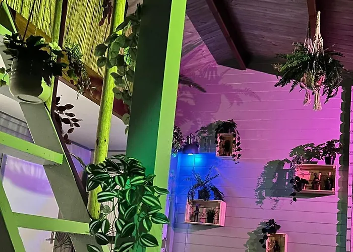 Appartement Jungle Style With Jacuzzi ,sauna And Garden Near Amsterdam Vijfhuizen